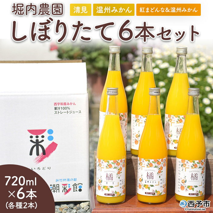 【ふるさと納税】＜堀内農園 しぼりたて 720ml×6本セット「紅まどんなと温州みかんの混合・清見・温州みかん」＞※1か月以内に順次出荷します。 ジュース 無添加 果物 みかん 清見 紅まどんな 柑橘 フルーツ 果汁100% 特産品 愛媛県 西予市【常温】