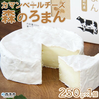 楽天ふるさと納税　【ふるさと納税】＜カマンベールチーズ 「森のろまん」 250g×1個 ＞ ちーず 発酵食品 乳製品 加工品 生乳 伯方の塩 おつまみ ワイン おかず ピザ フォンデュ お料理 特産品 箱入り ギフト 国産 ほわいとファーム 愛媛県 西予市 【冷蔵】『1か月以内に順次出荷予定』