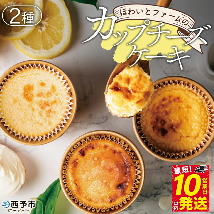 [ほわいとファームのカップチーズケーキ 2種 合計5個]デザート スイーツ お菓子 洋菓子 バスクチーズケーキ ニューヨークチーズケーキ のし対応可 お祝い 内祝い ギフト 贈答 贈り物 プレゼント 愛媛県 西予市[冷凍]『最短10営業日以内に順次発送予定』