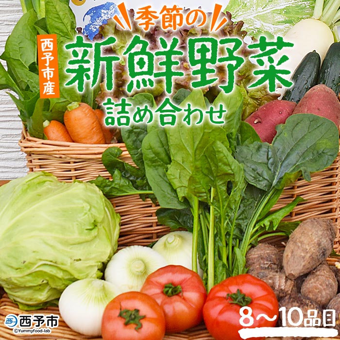 ＜季節の新鮮野菜の詰め合わせ＞ 西予市産 愛媛県産 国産 旬 季節の野菜 やさい セット 8～10品目 お楽しみ 特産品 百姓百品株式会社 愛媛県 西予市 【冷蔵】『1か月以内に順次出荷予定』