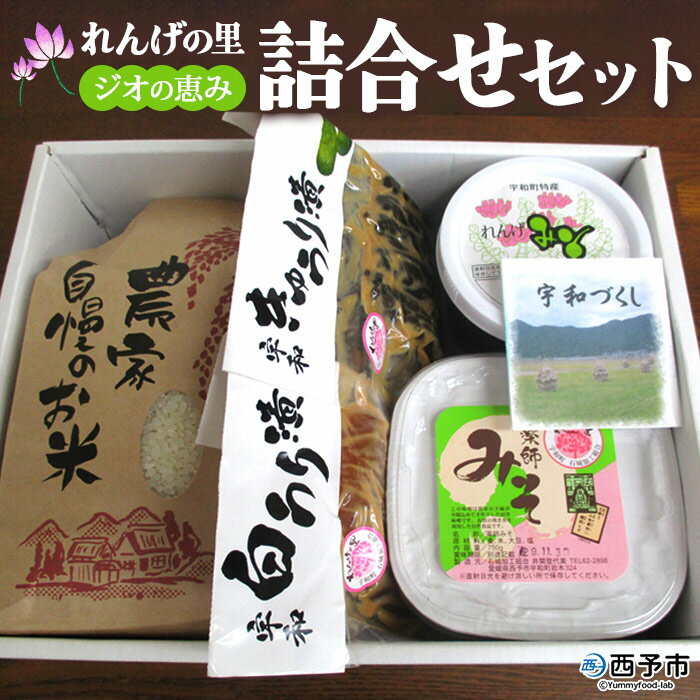 7位! 口コミ数「0件」評価「0」＜れんげの里 ジオの恵み詰合せセット＞ 米 味噌 漬物 キュウリ 白瓜 手作り 石城農産加工組合 愛媛県 西予市 【常温】『1か月以内に順次･･･ 