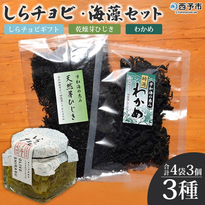 ＜しらチョビ 海藻セット＞ シラス 魚 芽ひじき わかめ オイル漬け 加工品 無添加 贈答 ギフト ご飯のお供 つまみ 今市水産 愛媛県 西予市 【常温】『1か月以内に順次出荷』