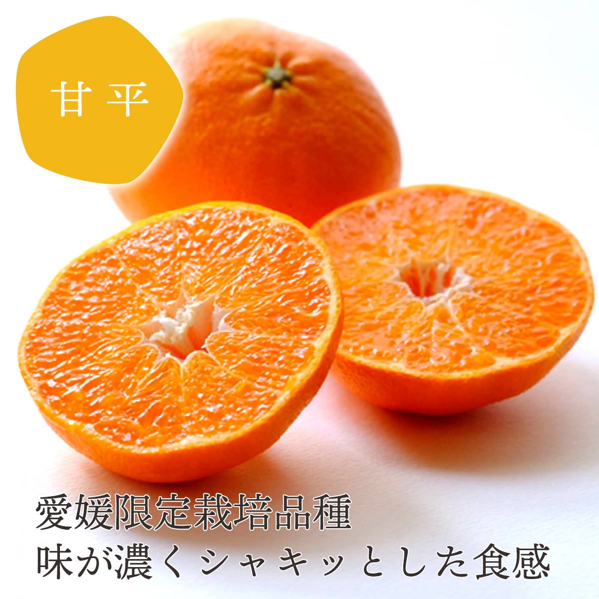 【ふるさと納税】【先行予約】＜訳あり 甘平 愛媛限定高級柑橘 約1.5kg／2kg＞ 『2027年1月以降順次出荷予定』選べる かんぺい ご家庭用 ご自宅用 食感 高級柑橘 希少 わけあり 果物 柑橘 フルーツ 高級 国産 果汁 産地直送 ミヤモトオレンジガーデン 愛媛県 西予市【常温】 f382141-seiyo-10001399 愛媛県西予市 サンプル画像2