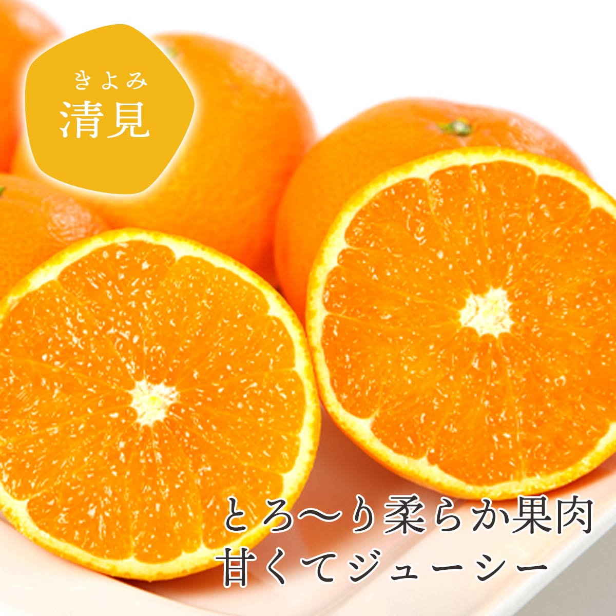 【ふるさと納税】【先行予約】＜訳あり 愛媛県産 清見 約1.5kg／2kg＞ 『2027年4月～6月に順次出荷』選べる きよみ 溢れる果汁 ご家庭用 ご自宅 わけあり 果物 柑橘 フルーツ オレンジ 国産 濃厚 果汁 産地直送 特産品 ミヤモトオレンジガーデン 愛媛県 西予市【常温】 f382141-seiyo-10001402 愛媛県西予市 サンプル画像2