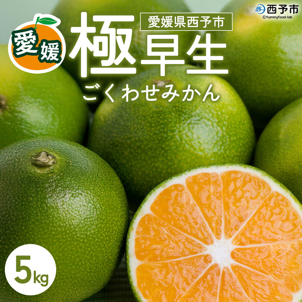 [先行予約][西予産 極早生みかん 5kg]『2026年10月以降順次出荷予定』みかん フレッシュ ごくわせ キロ 果肉 果物 柑橘 フルーツ オレンジ 国産 濃厚 産地直送 ミヤモトオレンジガーデン 愛媛県 西予市[常温]