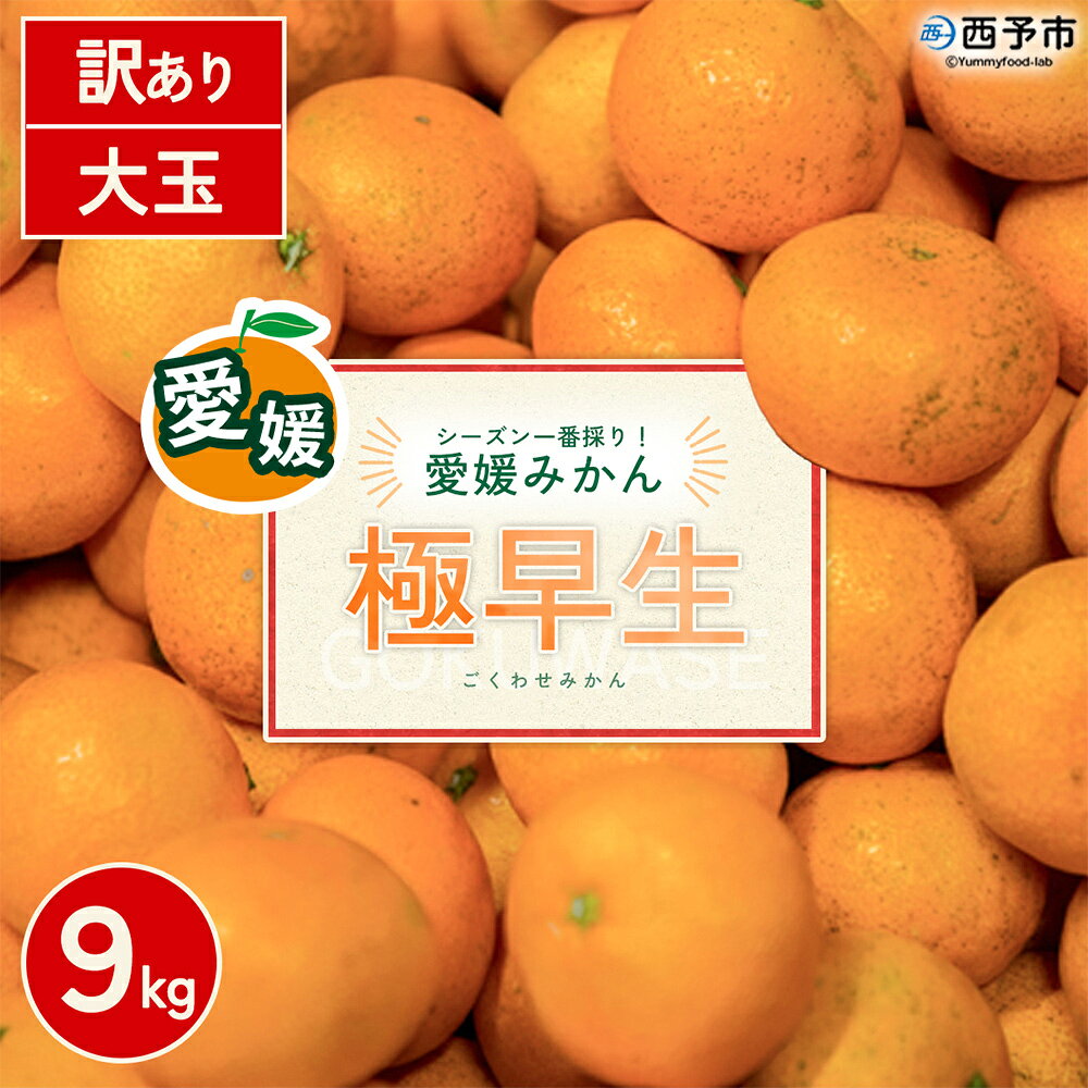 【先行予約】＜訳あり 西予市産 極早生みかん 大玉 約9kg＞ 『2026年10月以降順次出荷予定』みかん フレッシュ ご家庭用 ご自宅 ごくわせ キロ 果肉 果物 柑橘 フルーツ オレンジ 国産 濃厚 産地直送 ミヤモトオレンジガーデン 愛媛県 西予市【常温】