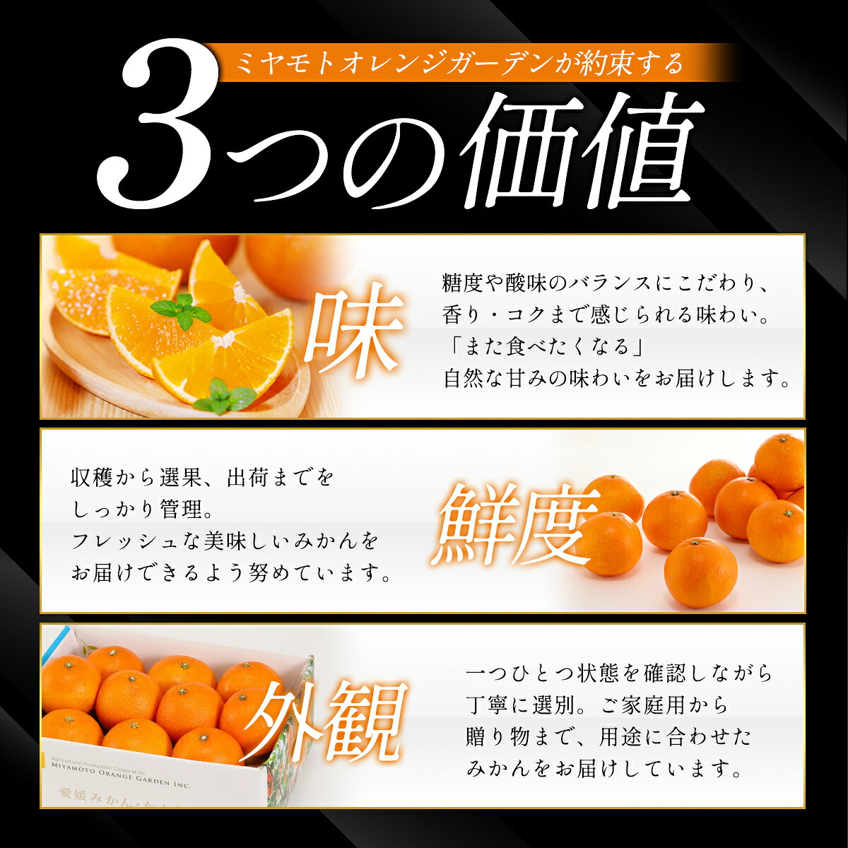 【ふるさと納税】【先行予約】＜訳あり 愛媛県産 いよかん 約1.5kg／2kg＞ 『2027年1月以降順次出荷予定』選べる みかん フレッシュ ご家庭用 ご自宅 伊予柑 果肉 果物 柑橘 フルーツ オレンジ 国産 濃厚 果汁 産地直送 ミヤモトオレンジガーデン 愛媛県 西予市【常温】 f382141-seiyo-10001405 愛媛県西予市 サンプル画像2