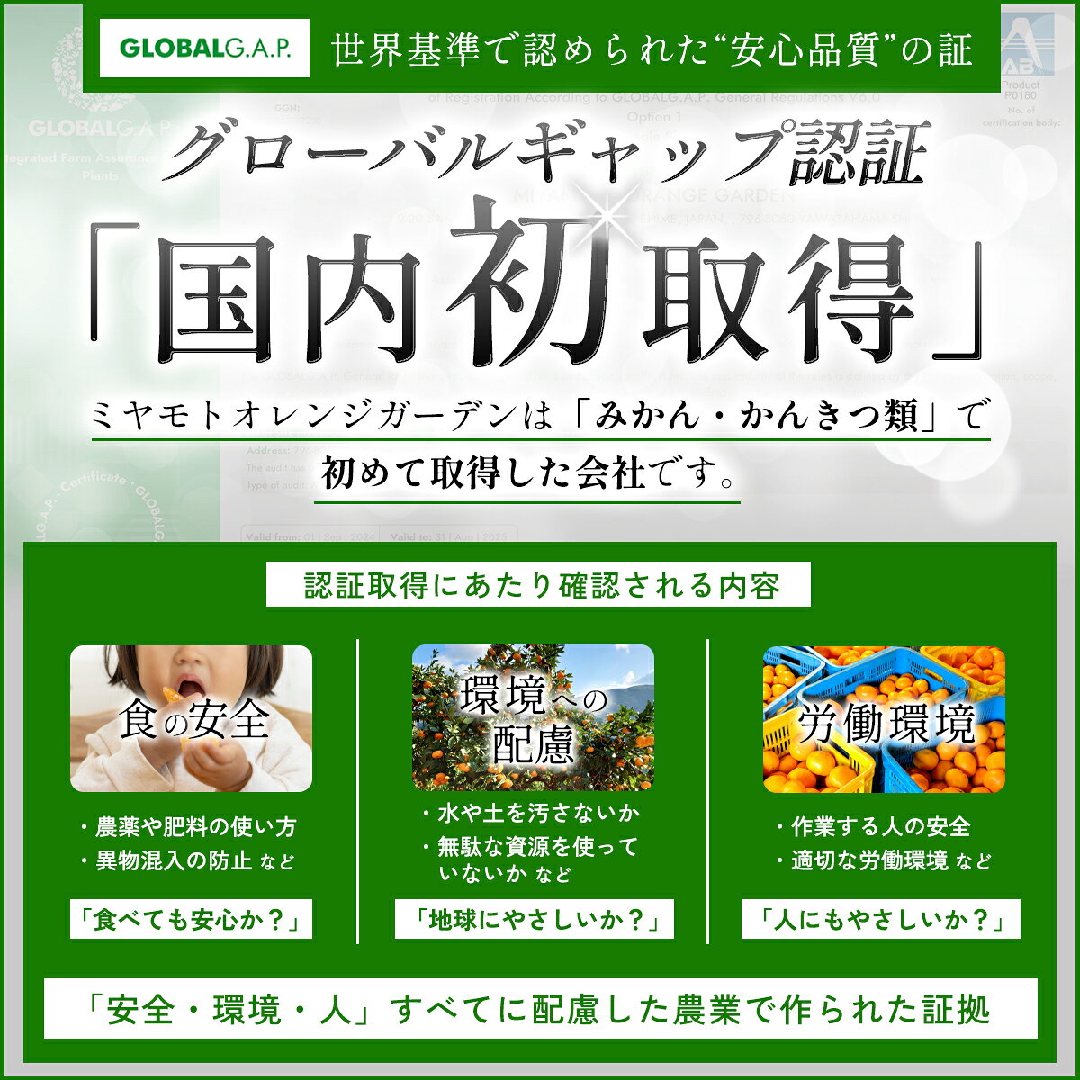 【ふるさと納税】【先行予約】＜訳あり 愛媛県産 いよかん 約1.5kg／2kg＞ 『2027年1月以降順次出荷予定』選べる みかん フレッシュ ご家庭用 ご自宅 伊予柑 果肉 果物 柑橘 フルーツ オレンジ 国産 濃厚 果汁 産地直送 ミヤモトオレンジガーデン 愛媛県 西予市【常温】 f382141-seiyo-10001405 愛媛県西予市 サンプル画像3