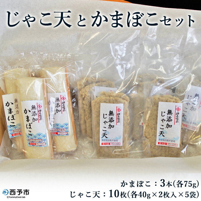 【ふるさと納税】<じゃこ天とかまぼこセット 2種 計8袋> メインディッシュにも!じゃこてん 天ぷら てんぷら 魚肉 練り物 練り製品 すり身 珍味 かまぼこ ...