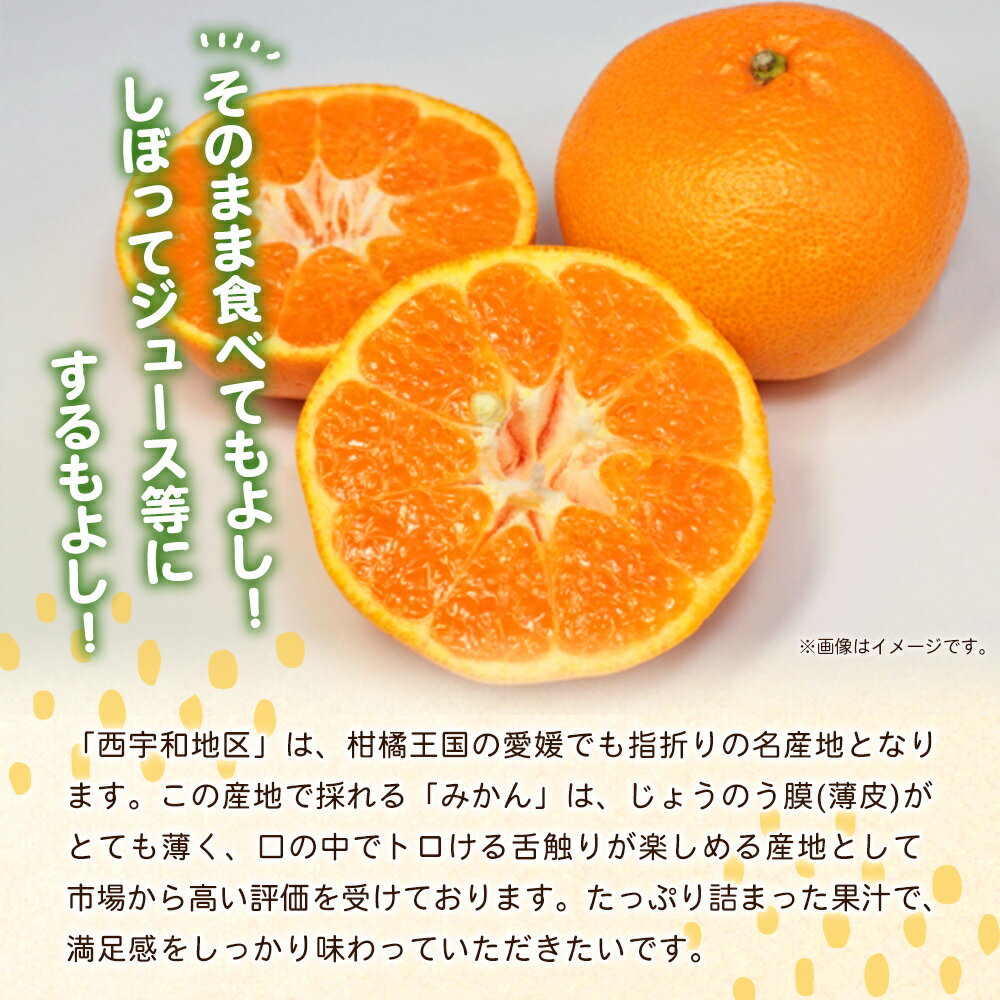 【ふるさと納税】＜愛媛県西予市産 温州みかん 大玉サイズ 家庭用 約9kg＞ 愛媛県産 西宇和 大玉 大きめ 果物 フルーツ 柑橘 うんしゅうみかん ウンシュウミカン オレンジ ミカン 蜜柑 訳あり 小林果園 愛媛県 西予市 【常温】『2025年11月中旬～12月中旬迄に順次出荷予定』