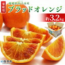 【ふるさと納税】<愛媛県西予市産 ブラッドオレンジ 家庭用 約3.2kg> 愛媛県産 西宇和 家庭用 不揃い 果物 フルーツ 柑橘 ぶらっどおれんじ オレンジ ...