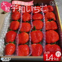 【ふるさと納税】<農家厳選 新鮮朝採り 宇和いちご 大粒 2箱(合計約1.4kg)>イチゴ 苺 果物 フルーツ くだもの ストロベリー かおりの かおり野 農家...