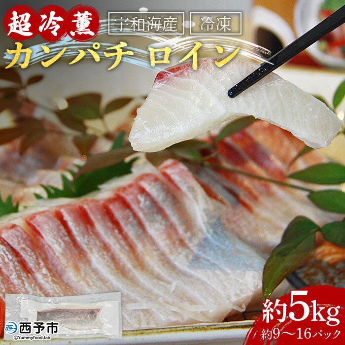 【ふるさと納税】＜宇和海産「超冷薫」冷凍カンパチ ロイン約5kg（9～16パック）＞ かんぱち 魚介類 さかな 新鮮 水産物 お刺身 さしみ 煮物 焼き魚 血抜き 骨なし 個包装 パーティー キャンプ お祝い 内祝い 御礼 ダイニチ 愛媛県 西予市【冷凍】『1か月以内に順次出荷』