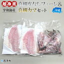 ＜異次元の鮮度！宇和海産『超冷薫』冷凍真鯛皮無しフィーレ・冷凍真鯛カマ セット＞タイ 魚介 水産物 お刺身 鯛めし 鯛茶漬け 焼き魚 塩焼き 血抜き 骨なし 個包装 真空パック ダイニチ 愛媛県 西予市 『1か月以内に順次出荷予定』