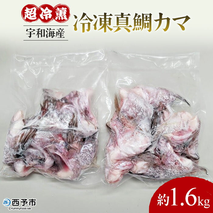 【ふるさと納税】＜異次元の鮮度！宇和海産『超冷薫』...