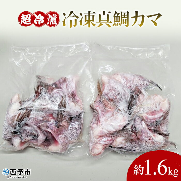 ＜異次元の鮮度！『超冷薫』冷凍真鯛カマ 約1.6kg＞『1か月以内に順次出荷予定』タイ 魚介 水産物 鯛めし 鯛茶漬け 焼き魚 塩焼き 血抜き 骨なし 個包装 真空パック ダイニチ 愛媛県 西予市 【冷凍】
