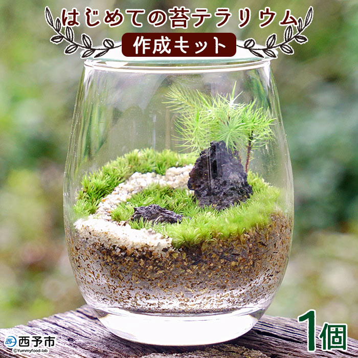 楽天愛媛県西予市【ふるさと納税】＜はじめての苔テラリウムにピッタリの作成キット＞※1ヵ月以内に順次出荷します コケ テラリウム ホソバオキナゴケ 栽培 ヒノキゴケ 溶岩石 化粧砂 インテリア ガーデニング 園芸 グリーン 緑 植物 初心者 西予苔園 送料無料 愛媛県 西予市 【常温】