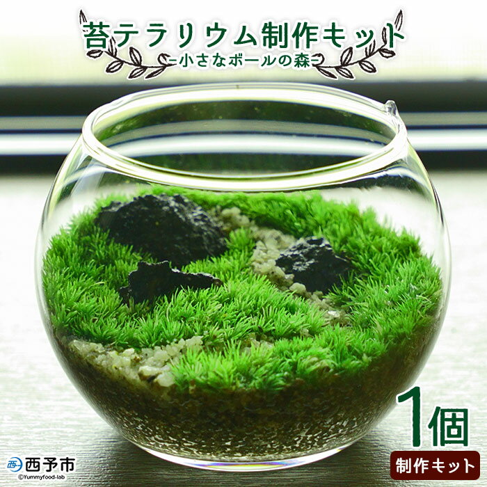 【ふるさと納税】＜苔テラリウム制作キット「小さなボールの森」＞※1ヵ月以内に順次出荷します コケ テ ...