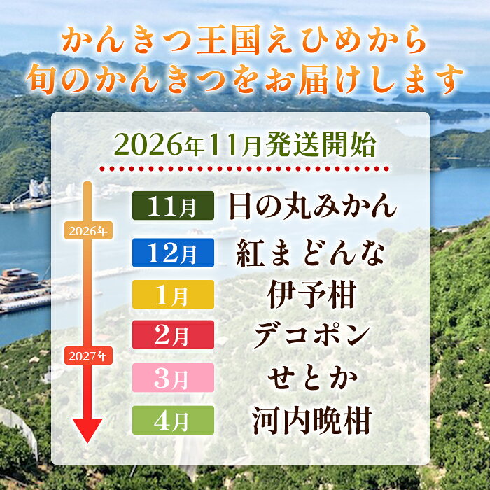 【ふるさと納税】【先行予約】＜2026年11月発送開始 えひめかんきつ定期便 全6回＞ 果物 フルーツ みかん 蜜柑 柑橘 日の丸みかん 紅まどんな 伊予柑 いよかん デコポン せとか 河内晩柑 愛媛県観光物産協会 愛媛県 西予市【常温】『2026年11月に第1回目を順次出荷予定』 f382141-seiyo-10000932 愛媛県西予市 サンプル画像2