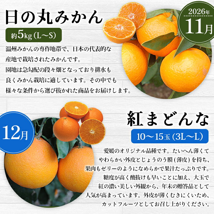 【ふるさと納税】【先行予約】＜2026年11月発送開始 えひめかんきつ定期便 全6回＞ 果物 フルーツ みかん 蜜柑 柑橘 日の丸みかん 紅まどんな 伊予柑 いよかん デコポン せとか 河内晩柑 愛媛県観光物産協会 愛媛県 西予市【常温】『2026年11月に第1回目を順次出荷予定』 f382141-seiyo-10000932 愛媛県西予市 サンプル画像3
