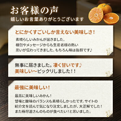 【ふるさと納税】＜玉宝の味わい 愛媛県産みかん 合計約3／6／9／12kg＞『2026年10月下旬～1月中旬迄に順次出荷予定』 選べる 訳あり あまい 甘酸っぱい ミカン 蜜柑 ご家庭用 果汁 果物 くだもの フルーツ オレンジ 柑橘 人気柑橘 特産品 極尽道 愛媛県 西予市 【常温】 f382141-seiyo-10001538 愛媛県西予市 サンプル画像2