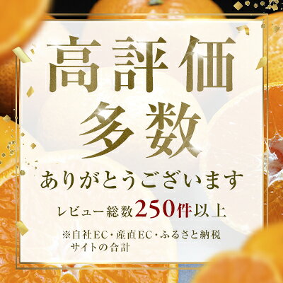 【ふるさと納税】＜玉宝の味わい 愛媛県産みかん 合計約3／6／9／12kg＞『2026年10月下旬～1月中旬迄に順次出荷予定』 選べる 訳あり あまい 甘酸っぱい ミカン 蜜柑 ご家庭用 果汁 果物 くだもの フルーツ オレンジ 柑橘 人気柑橘 特産品 極尽道 愛媛県 西予市 【常温】 f382141-seiyo-10001538 愛媛県西予市 サンプル画像3