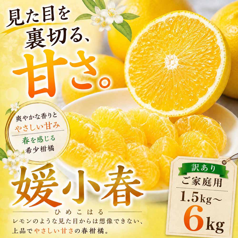 ＜甘さの驚き 愛媛県産媛小春 合計約1.5／3／4.5／6kg＞『2027年1月下旬～3月中旬迄に順次出荷予定』 選べる 訳あり ひめこはる あまい 希少品種 ミカン 蜜柑 ご家庭用 果汁 果物 くだもの フルーツ オレンジ 柑橘 特産品 極尽道 愛媛県 西予市 【常温】
