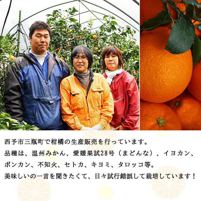 【ふるさと納税】先行予約＜とびっきりの愛媛 まどんな（11〜14玉）＞ 果物 柑橘 フルーツ 特産品 片山果樹園 愛媛県 西予市 【常温】 『2022年12月中旬から12月下旬迄に順次出荷予定』