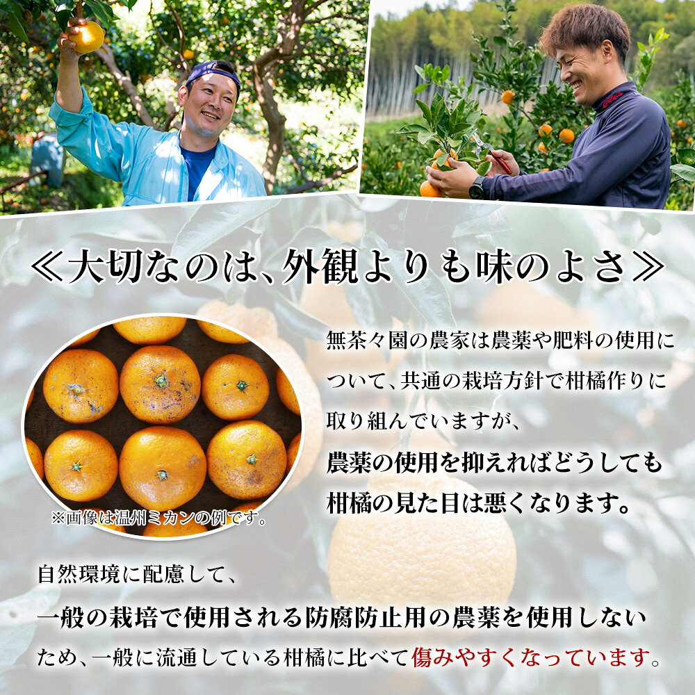愛媛県西予市の画像3