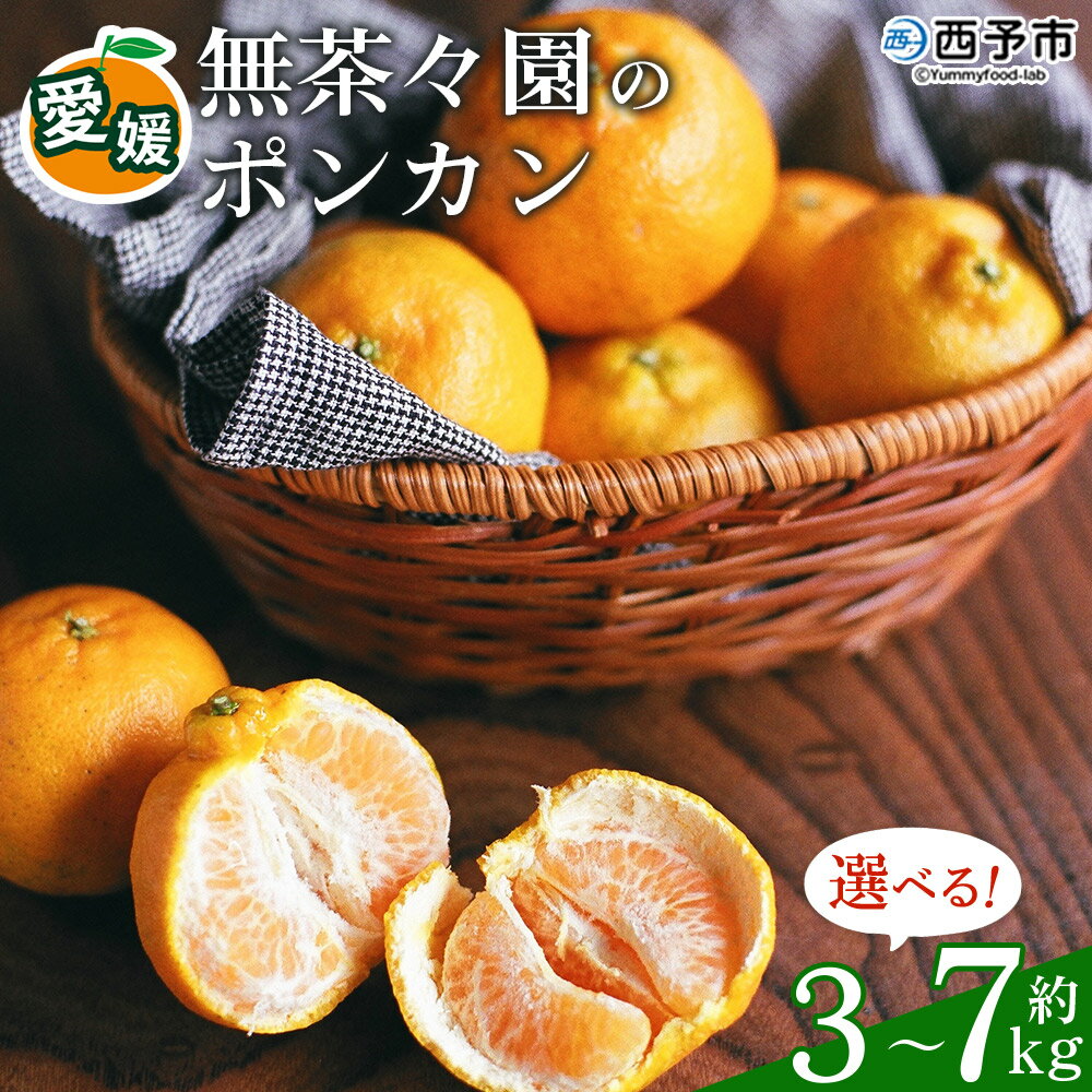 [先行予約] [無茶々園のポンカン 約3kg/5kg/7kg] 果物 くだもの フルーツ 選べる内容量 ぽんかん みかん 蜜柑 柑橘類 かんきつ 旬 甘い 濃厚 新鮮 期間限定 季節限定 産地直送 特産品 愛媛県 西予市 [常温]『2027年1月〜2月中旬に順次出荷予定』