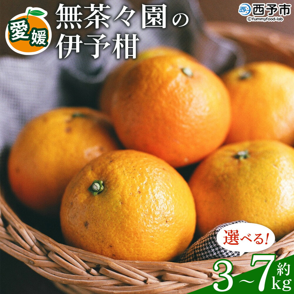 [先行予約] [無茶々園の伊予柑 約3kg/5kg/7kg] 果物 いよかん イヨカン みかん ミカン 蜜柑 柑橘 フルーツ 選べる内容量 期間限定 季節限定 特産品 愛媛県 西予市[常温]『2027年1月中旬〜2月中旬に順次出荷予定』