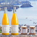 【ふるさと納税】<無茶々園 ジュース 720ml×2本・マーマレード2種セット> 果物 伊予柑 甘夏 オレンジ ミカン 蜜柑 柑橘 フルーツ 飲んで応援 特産品...