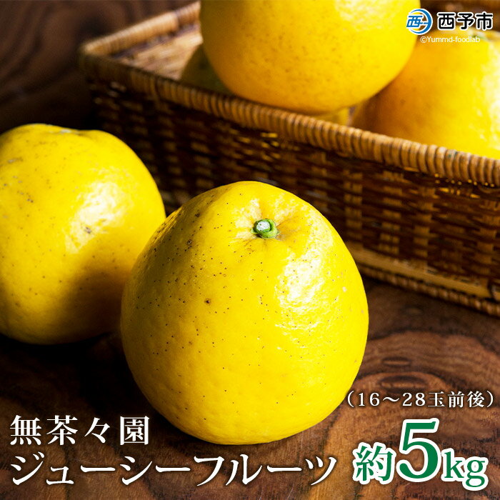 【ふるさと納税】先行予約 ＜無茶々園のジューシーフルーツ（河内晩柑）約5kg（16～28玉）＞果物 かわちばんかん みかん ミカン 蜜柑 柑橘 期間限定 季節限定 食べて応援 特産品 愛媛県 西予市 【常温】『2024年4月上旬～6月下旬に順次出荷予定』のサムネイル