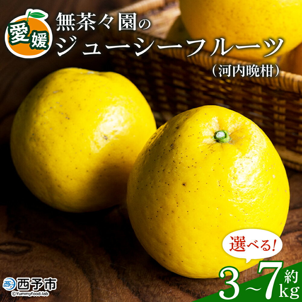 [無茶々園のジューシーフルーツ(河内晩柑)約3kg/5kg/7kg] 果物 フルーツ 選べる内容量 かわちばんかん みかん ミカン 蜜柑 柑橘 期間限定 季節限定 食べて応援 特産品 愛媛県 西予市 [常温]『2026年4月上旬〜6月中旬迄に順次出荷予定』