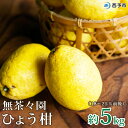 30位! 口コミ数「2件」評価「3.5」先行予約 ＜無茶々園のひょう柑 約5kg（18～25玉前後）＞ 果物 みかん くだもの ミカン 蜜柑 柑橘類 フルーツ ひょうかん 弓削瓢柑･･･ 