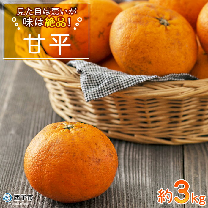 【先行予約】＜見た目は悪いが味は絶品 無茶々園の甘平 約3kg（15玉前後）＞果物 かんぺい みかん 蜜柑 柑橘 フルーツ 期間限定 季節限定 数量限定 無茶々園 特産品 愛媛県 西予市【常温】『2027年2月上旬頃に順次出荷予定』