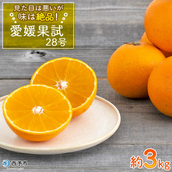 【ふるさと納税】先行予約 ＜見た目は悪いが味は絶品 愛媛果試28号 約3kg（12玉前後）＞果物 みかん ミカン 柑橘 フルーツ オリジナル 期間限定 季節限定 数量限定 無茶々園 食べて応援 特産品 愛媛県 西予市【常温】『2023年11月下旬～12月上旬迄に順次出荷予定』のサムネイル