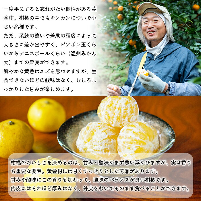 愛媛県西予市の画像2