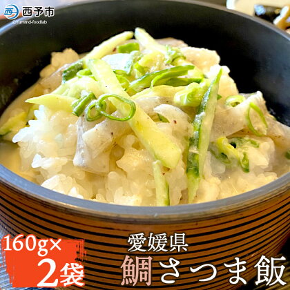 ＜愛媛県 鯛さつま飯（160g×2袋）＞※1か月以内に順次出荷 魚 海産物 郷土料理 たい 丼 お祝い 野福 特産品 愛媛県 西予市 【冷凍】