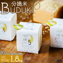 【ふるさと納税】<分搗米「BUDUKI」ひめの凜 2合入り×3個/6個(900g/1.8kg)> ひめのりん 分づき米 ぶづき米 ぶずき米 お米 コメ こめ 選...