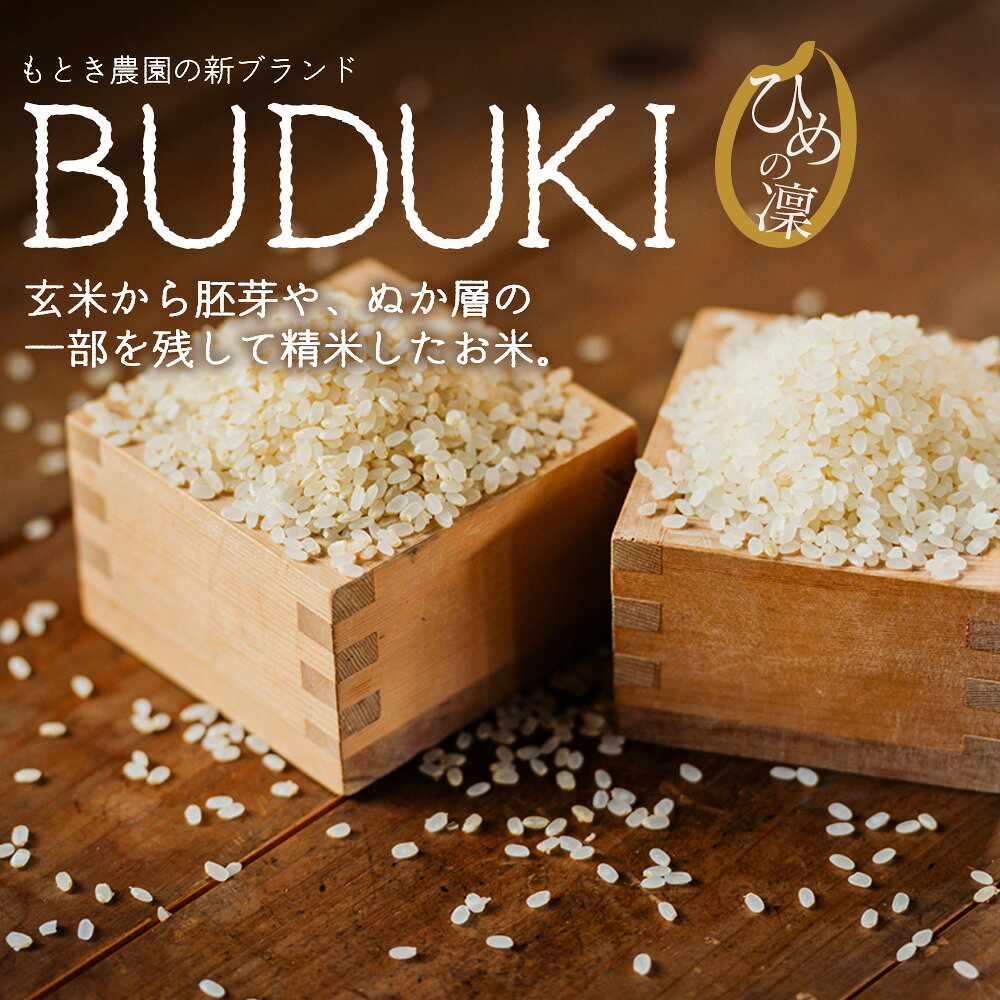 【ふるさと納税】＜分搗米「BUDUKI」ひめの凜 2合入り×3個/6個（900g/1.8kg）＞ ひめのりん 分づき米 ぶづき米 ぶずき米 お米 コメ こめ 選べる 3分づき 5分づき 7分づき 食べ比べ 玄米 精米 ご飯 もとき農園 愛媛県 西予市【常温】『令和7年11月中旬より順次発送予定』 f382141-seiyo-10001176 愛媛県西予市 サンプル画像2