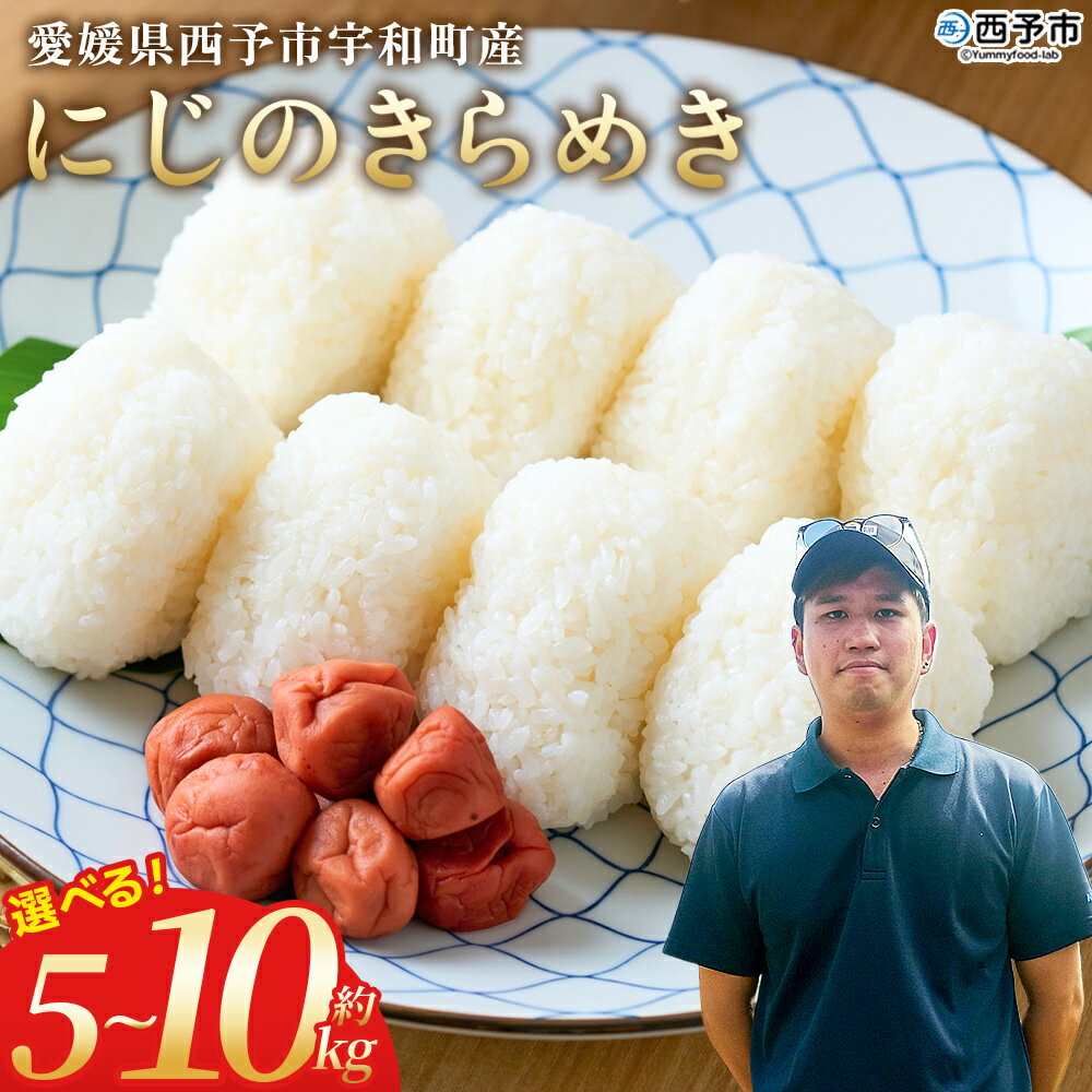 【ふるさと納税】新米<令和7年産 にじのきらめき 約5kg/10kg> 選べる 5キロ 10キロ ニジノキラメキ 米 お米 コメ こめ 白米 精米 ご飯 ライス...