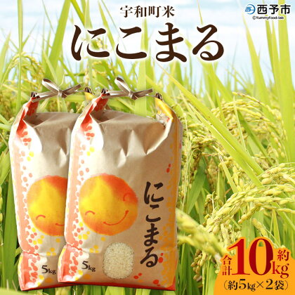 ＜令和5年産 西予市宇和町米 にこまる 約10kg（5kg×2袋）＞ お米 コメ 白米 ご飯 晩稲 大粒 特産品 愛媛県 西予市 【常温】『1か月以内に順次出荷予定』