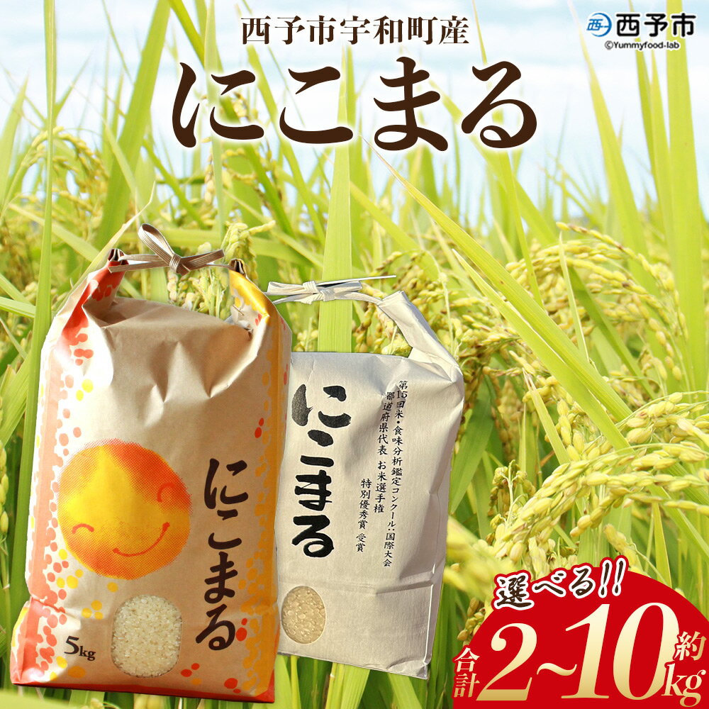 【ふるさと納税】新米<令和7年産 西予市宇和町産 にこまる 約2kg/5kg/10kg> お米 コメ 白米 精米 単一原料米 ご飯 晩稲 大粒 精米 ご飯 ライ...