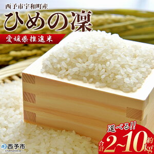 【ふるさと納税】<愛媛県推進米 ひめの凜 約2kg/5kg/10kg> お米 コメ こめ 白米 精米 ご飯 ライス 穀物 ひめのりん ヒメノリン ヒメノ凜 ブランド米 大粒 ツヤツヤ 特産品 愛媛県産 西予市産 宇和町産 三好フク 愛媛県 西予市 【常温】『1か月以内に順次出荷予定』