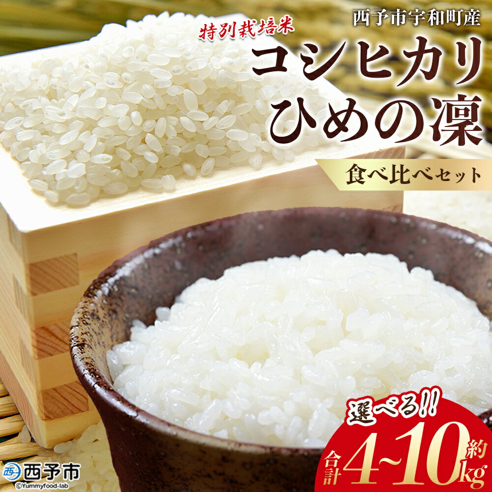 ڤդ뤵Ǽǡۿơ7ǯ ͽԱĮ ̺ƥҥꡦҤ ٥åȡʳ2kg/5kgˡ      ñ츶...