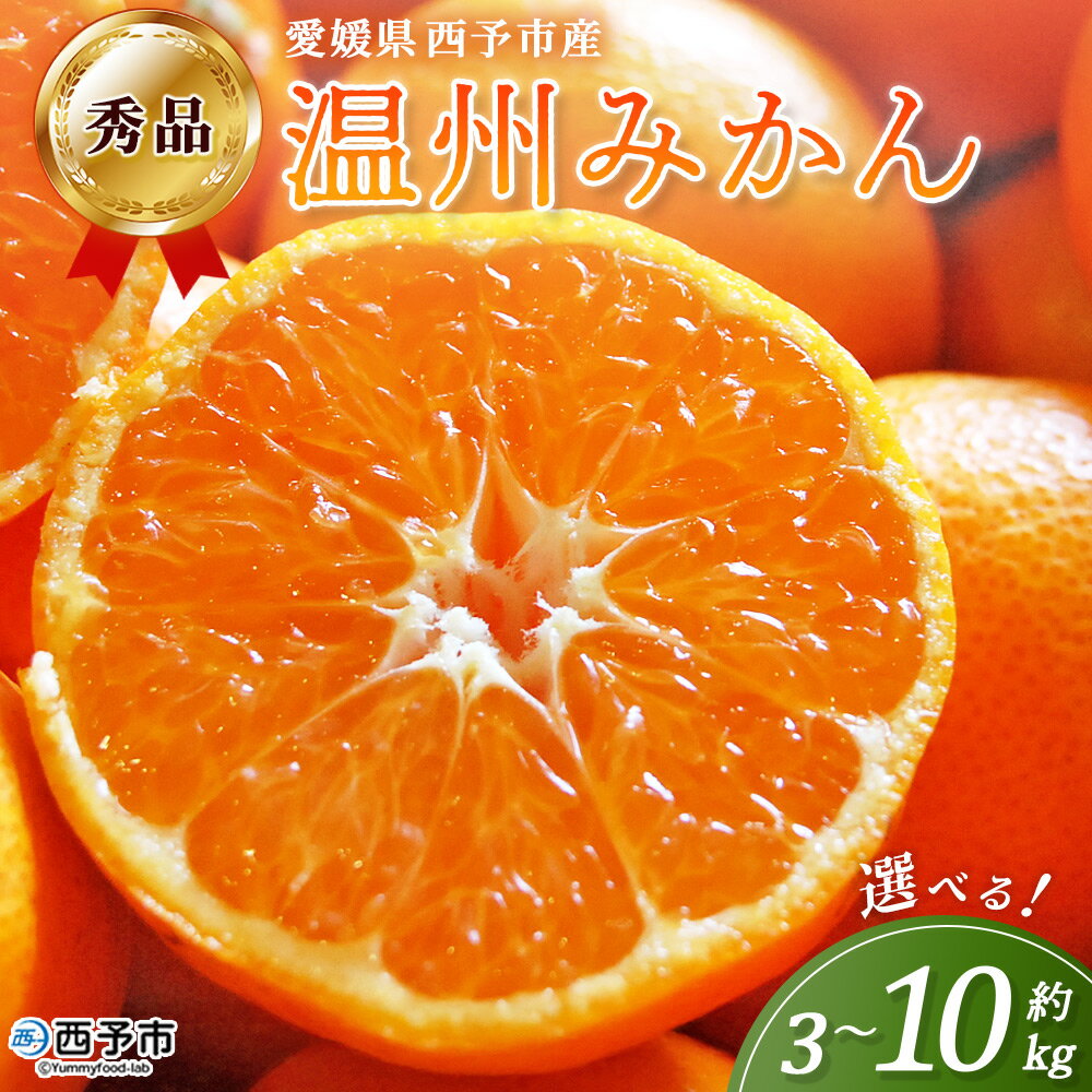[西予市産 温州みかん 秀品 約3kg/5kg/10kg] 選べる 温州 うんしゅうみかん ウンシュウミカン 蜜柑 ミカン みかん 果物 フルーツ 柑橘 国産 愛媛県産 サイズおまかせ 特産品 丸二青果 愛媛県 西予市[常温]『2025年11月〜2026年1月迄に順次出荷予定』