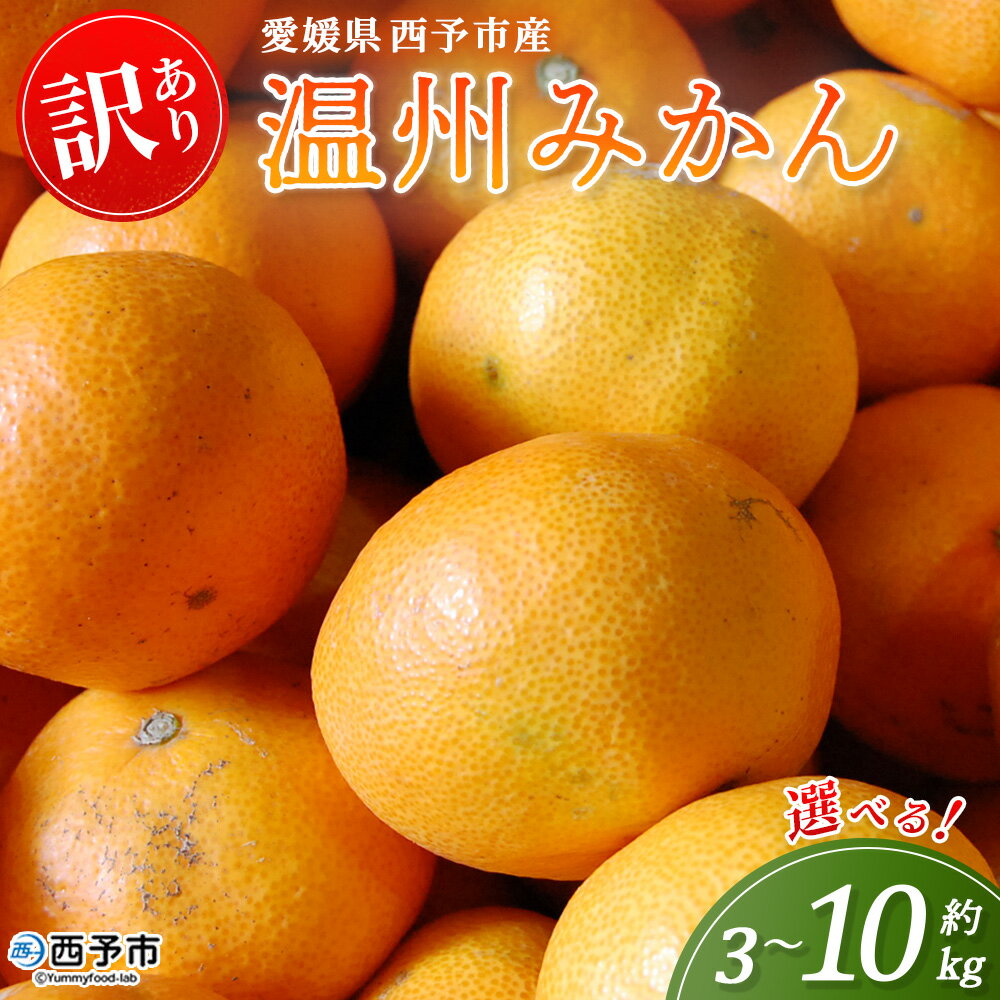 [西予市産 温州みかん 訳あり 約3kg/5kg/10kg] 選べる 温州 うんしゅうみかん ウンシュウミカン 蜜柑 ミカン みかん 果物 フルーツ 柑橘 国産 愛媛県産 家庭用 ご家庭用 特産品 丸二青果 愛媛県 西予市[常温]『2025年11月〜2026年1月迄に順次出荷予定』