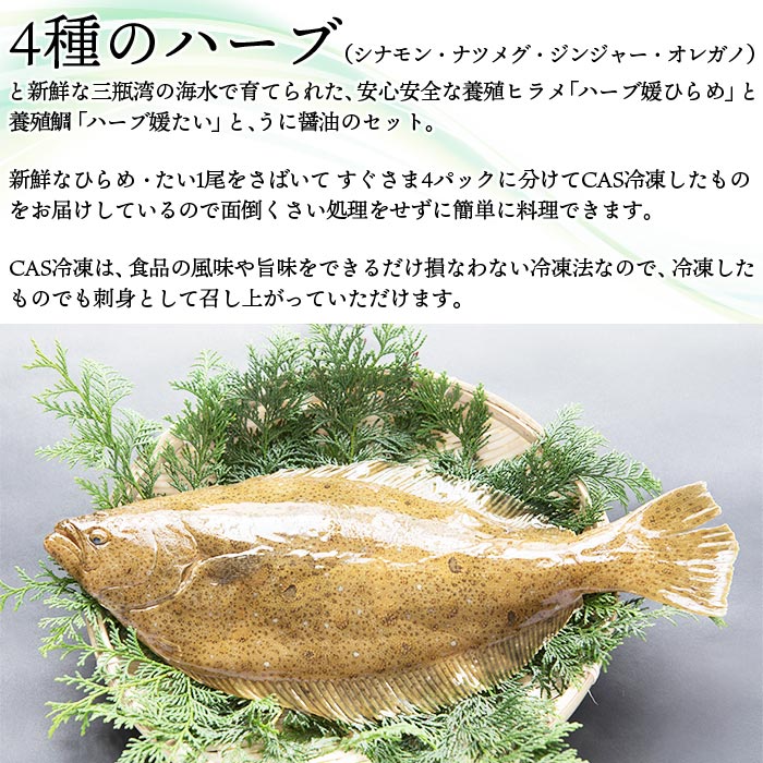 【ふるさと納税】＜ハーブ媛ひらめ・たい 合計500g以上＋うに醤油 120ml＞ ヒラメ 鮃 鯛 マダイ タイ ウニ 雲丹 養殖 魚介 海鮮 お刺身 カルパッチョ 食べ比べ 新鮮 CAS冷凍 お祝い 御祝い 特産品 三瓶ヒラメ養殖協議会 愛媛県 西予市 【冷凍】『1か月以内に順次出荷予定』