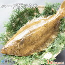 【ふるさと納税】<ハーブ媛ひらめラウンド 1尾(1kg以上)...